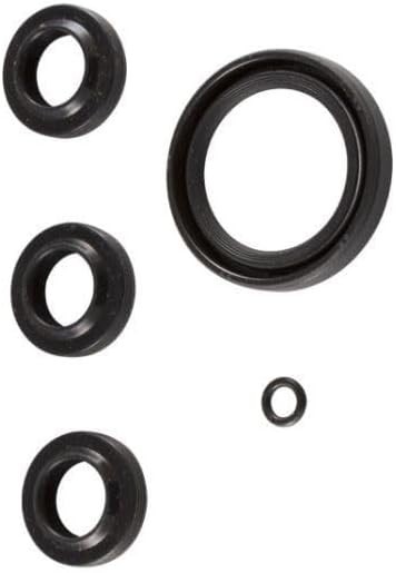 OEM Annovi Reverberi AR2591 OIL SEAL Kit for SJV series pumps