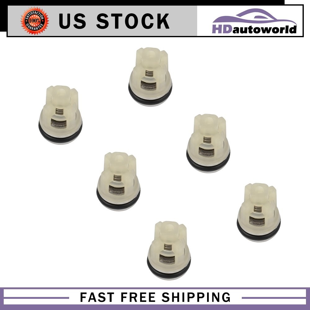 Check Valve Kit Fit for AR 42123 Pressure Washer Pump RMV RMW