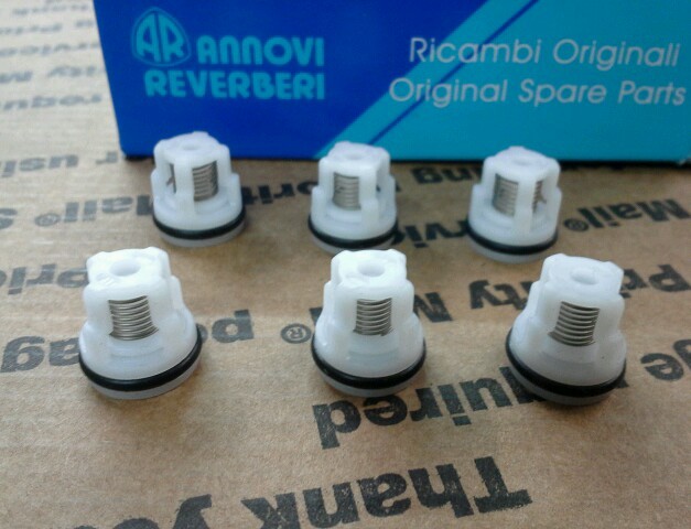 AR RMW2.2G24 Check Valve Repair Kit RMW2G24 Check Valve AR Kit 2233 AR2233