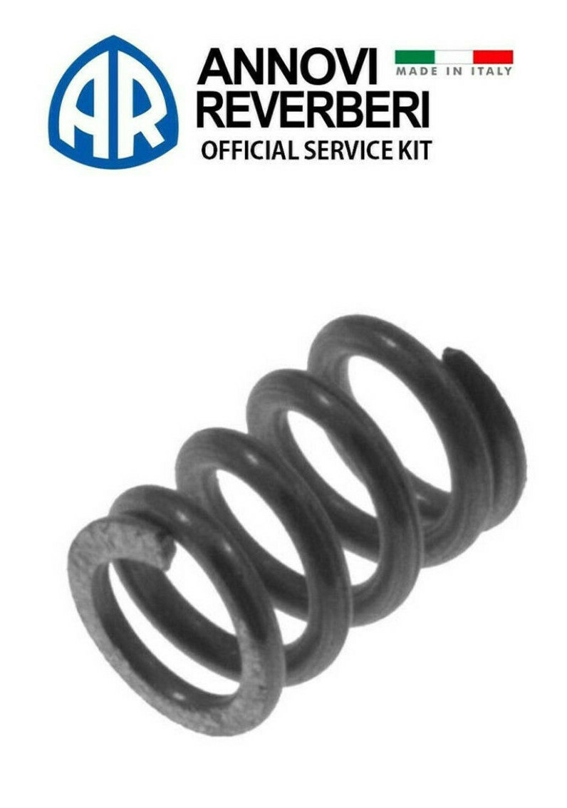 Annovi Reverberi AR2840450 Spring 2840450 EZ Start SPRING