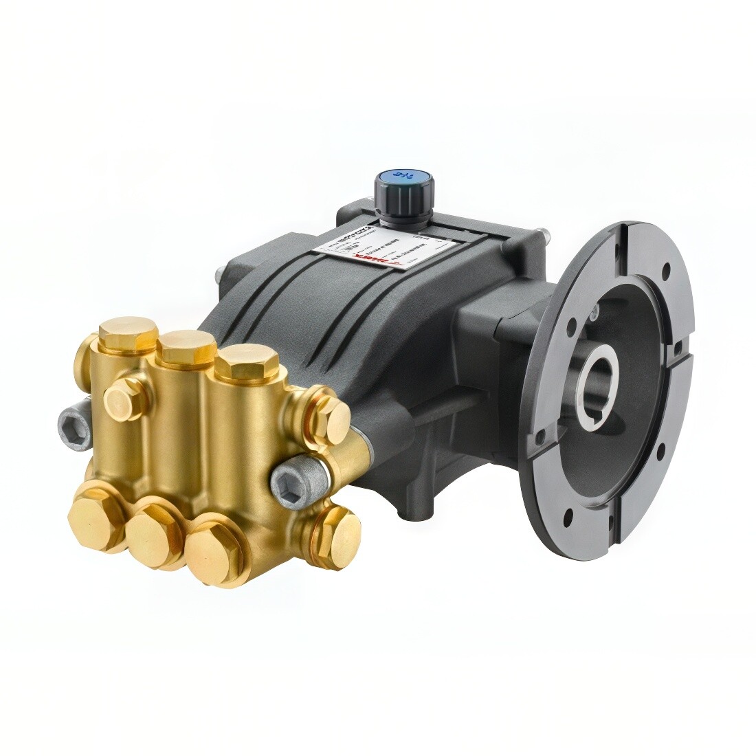 Landa LF2030F Direct Drive Pump 3000 PSI 2.1 GPM 8.754-760.0 Hotsy Karcher