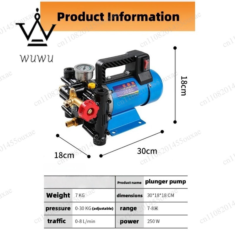12V/24V/220V Double Cylinder Plunger Pump Agricultural High Pressure Pump