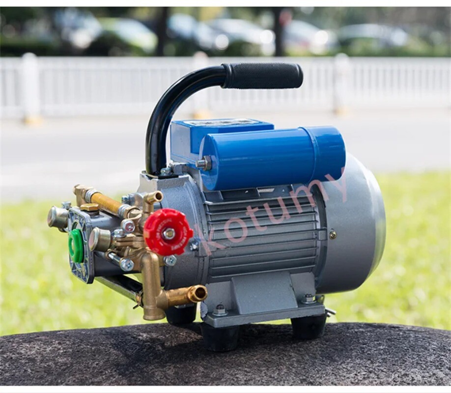 220V Electric Coil Sprayer High Pressure Agricultural Plunger Pump Irrigation