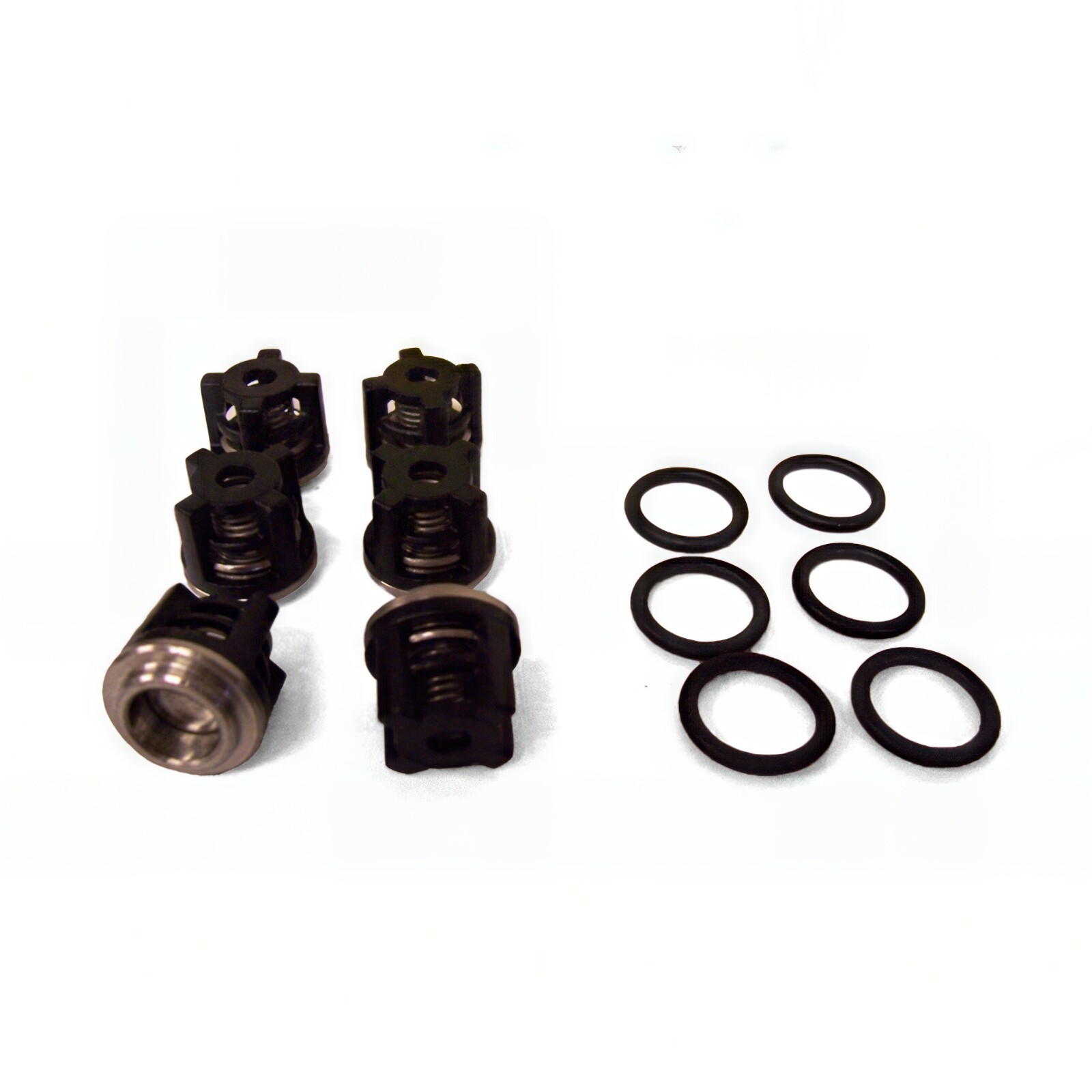 AR AR2864 Valve Kit RK RKA RR RRA RRV RG RGA RW RCW Pumps 6 Valve Assemblies