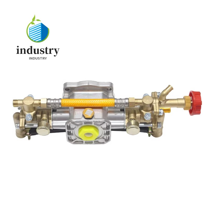 Copper Plunger Pump Sprayer Plunger Pump Parts Compatible with 1100W Motors