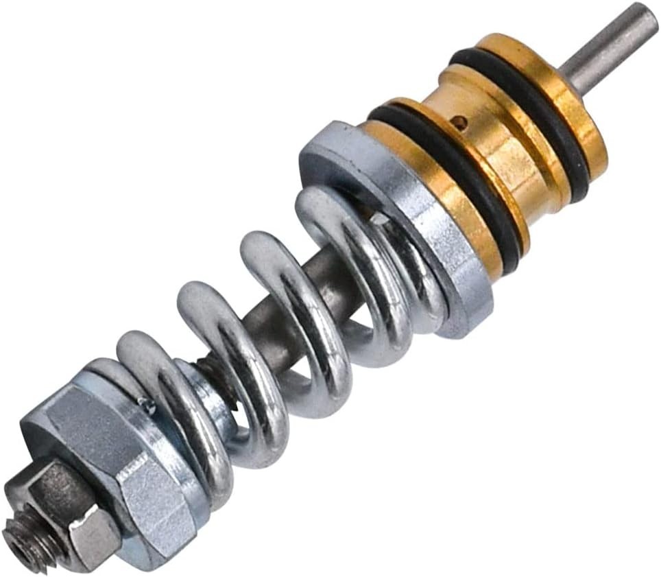 Unloader Valve kit for Many Coleman Features for Simpson High Pressure Washer