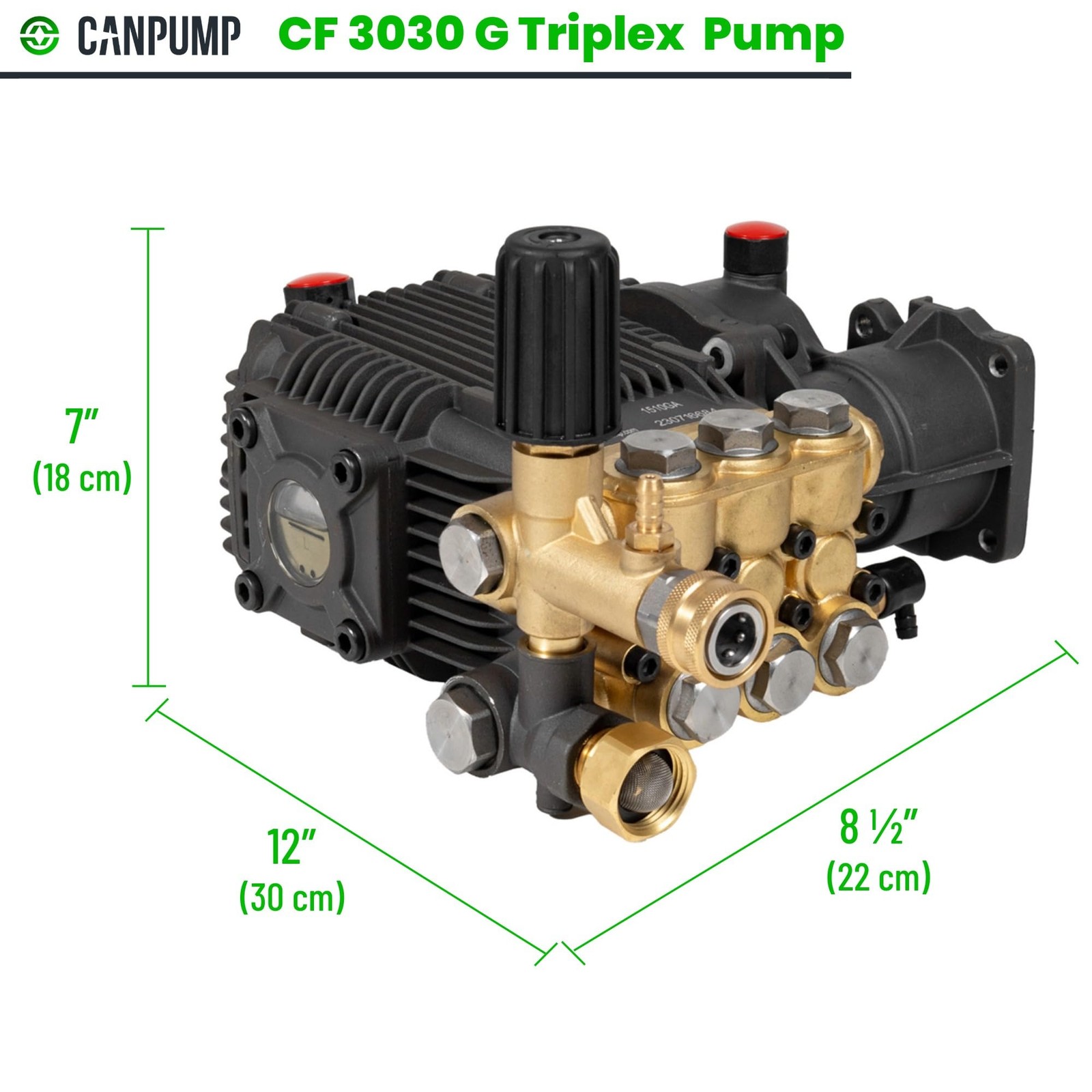 Canpump CF 3030 G: 3000 psi @ 3.1 US gpm Pressure Washer Pump with Gold