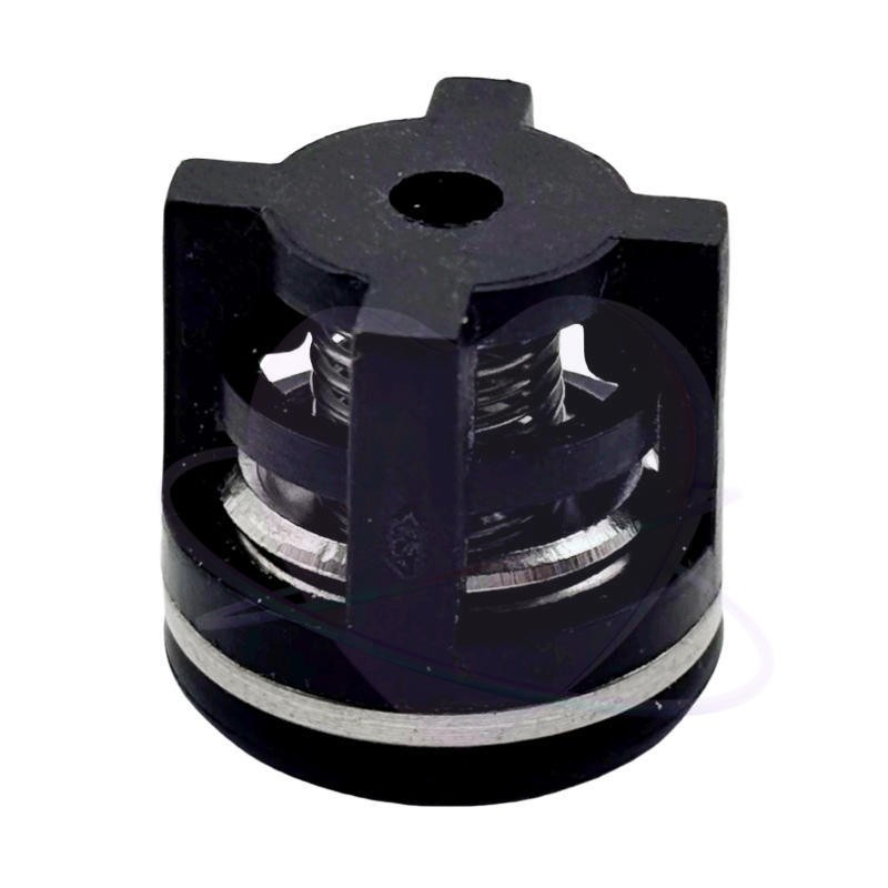 AR1828 Water Pump Check Valve Kit for Annovi Reverberi For RRV, RKV, XRCV 18mm