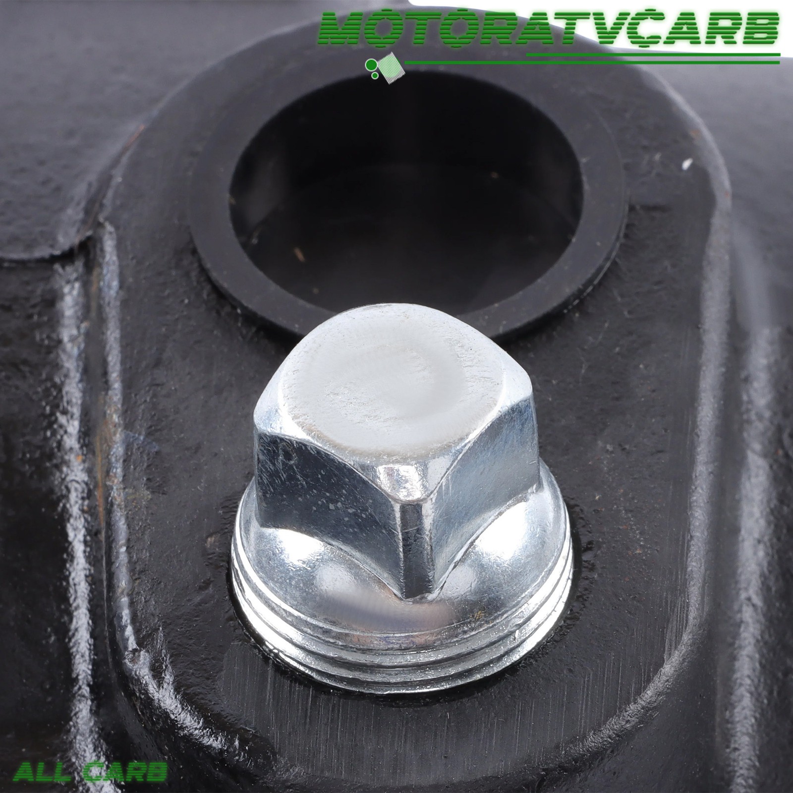 ALL-CARB Heavy Duty Cast Iron SWS75-3/4 HP Shallow Jet Well Pump 510GPH 115/230V
