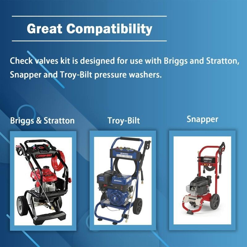 190591GS Pressure Washer Pump Valve Check Kit for Briggs & Stratton & Troy-Bilt