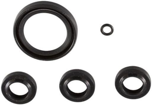 OEM Annovi Reverberi AR2591 OIL SEAL Kit for SJV series pumps