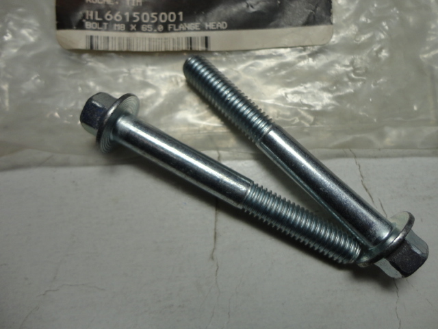 Two Homelite 661505001 Power Washer Flange Head Hex Bolts for UT80835, HU80714