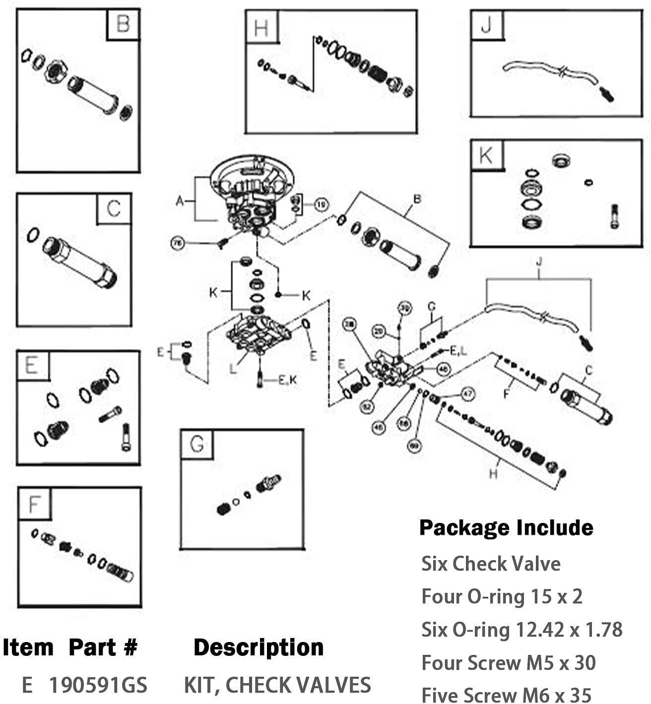 For Briggs and Stratton Craftsman Pressure Washer Pump Valve Check Kit 190591GS