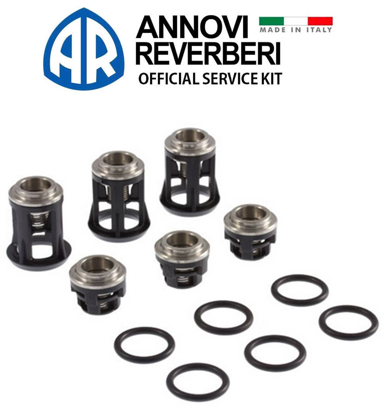 AR 2869 Check Valve Kit for SJV, XJV, XJW Annovi Reverberi Pump *OEM* AR2869