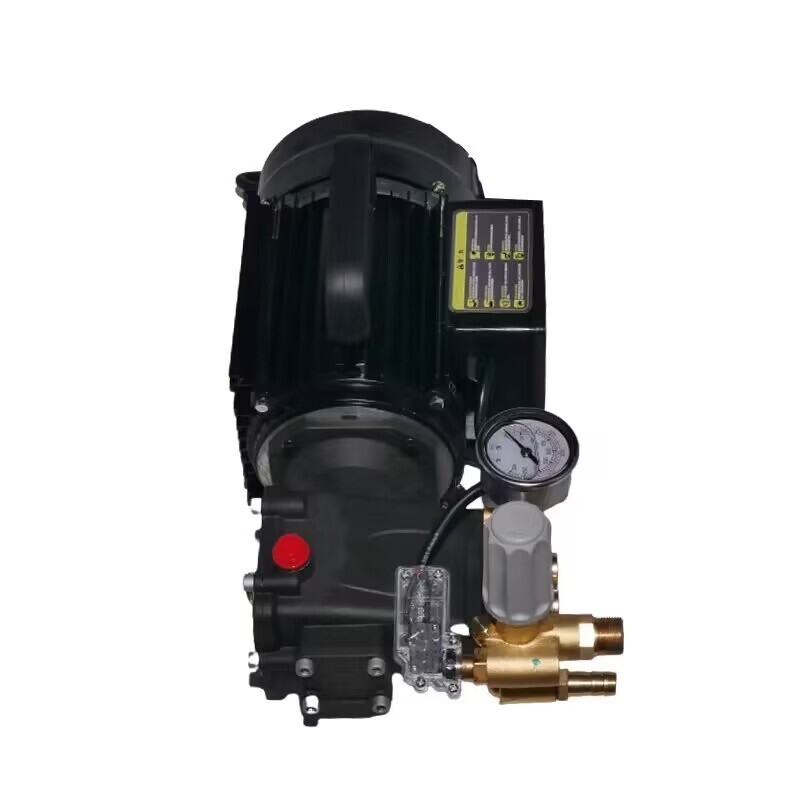 220V Copper Electric High Pressure Washer Pump Car Cleaning Machine 7Mpa 13L/min