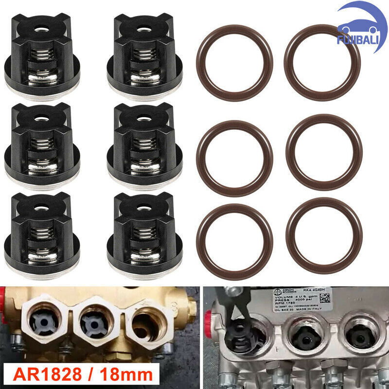Water Pump Check Valves Kit & Pressure Washer Packing Kit for Annovi Reverberi