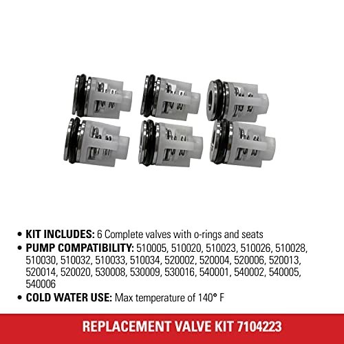 Replacement Valve Kit for Pressure Washer Pumps – High-Performance, Durable Part