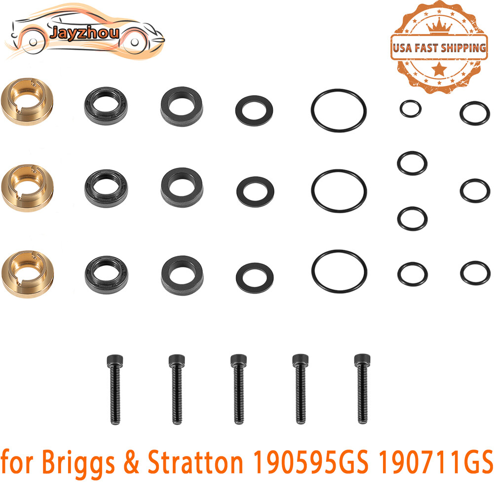 Pressure Washer Seal Kit for Briggs Stratton 190711GS 580752550 190595GS