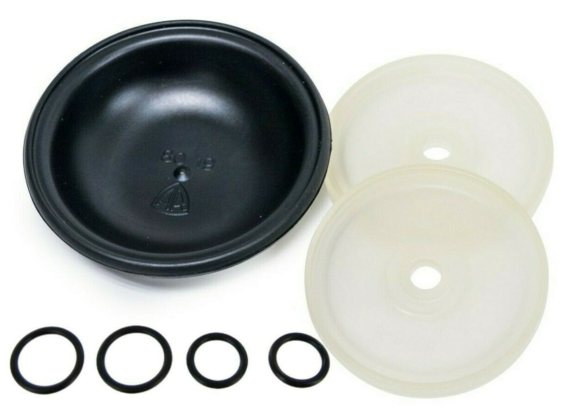 Hypro D252 Diaphragm Pump Repair Kit for 9910-KIT1723 9910KIT1723 D-252