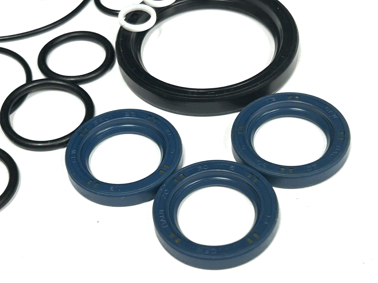 OEM Comet Pump 5019.0045.00 – Oil Seal Kit for FW And HW Series Hollow Shaft