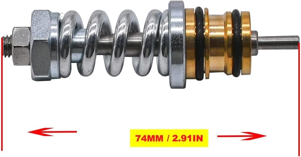 Unloader Valve kit for Many Coleman Features for Simpson High Pressure Washer