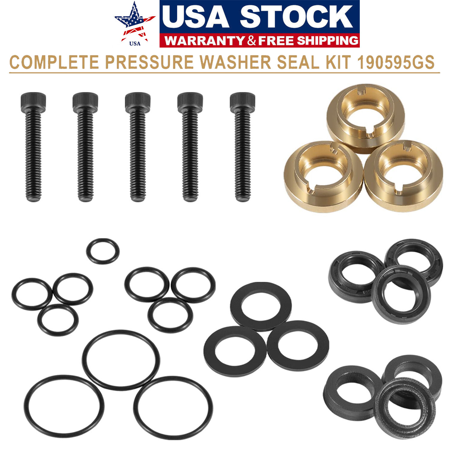 190595GS Pressure Washer Seal Kit For Briggs & Stratton Pumps 580752550