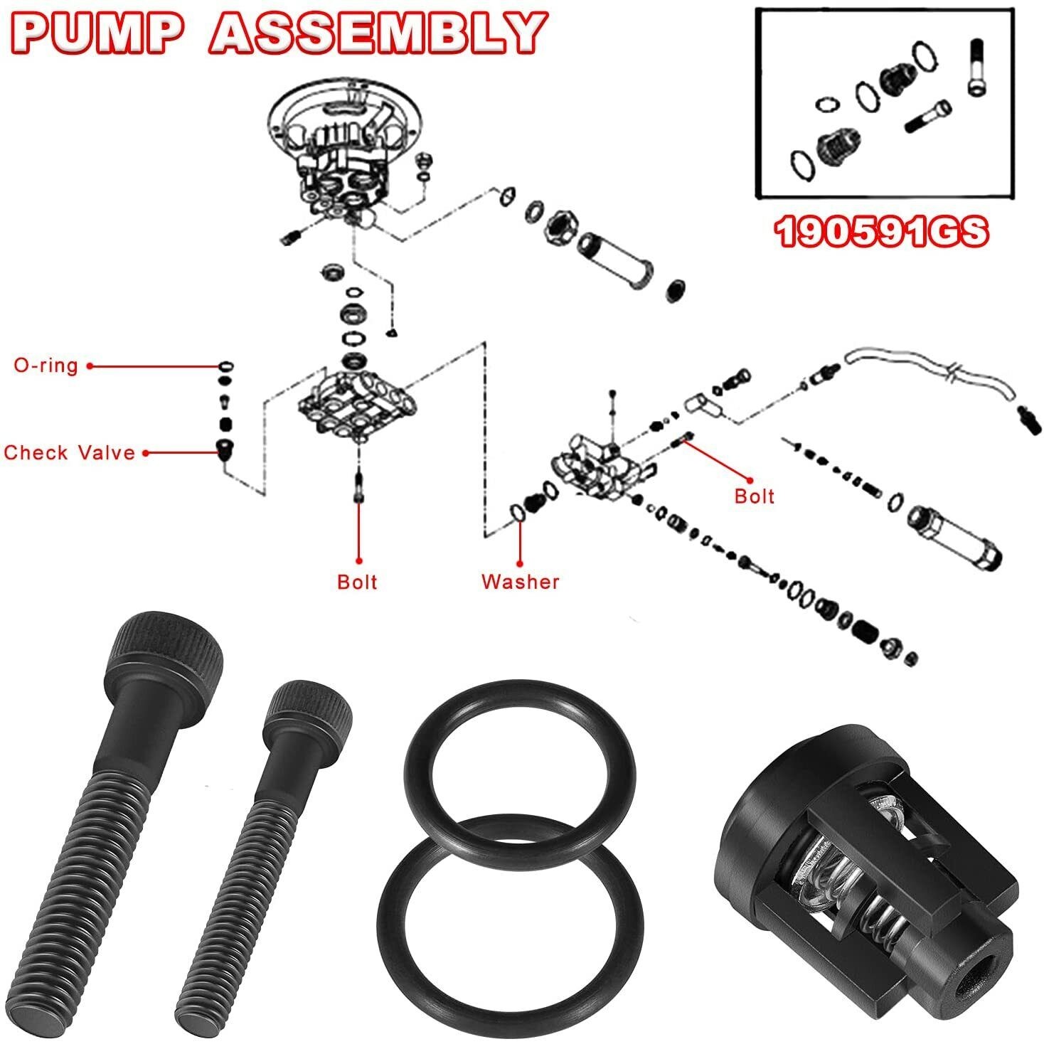 For Briggs and Stratton Craftsman Pressure Washer Pump Valve Check Kit 190591GS