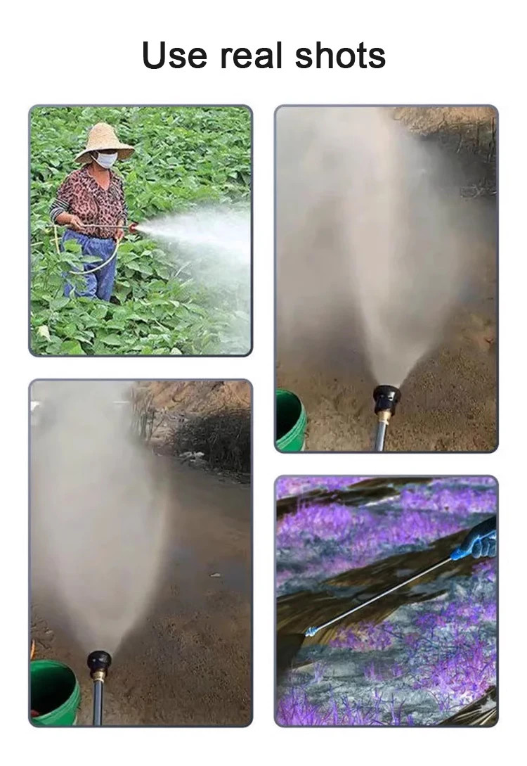Dosing Pumps Agricultural Electric High Pressure Pump 12V/220V Spraying Watering