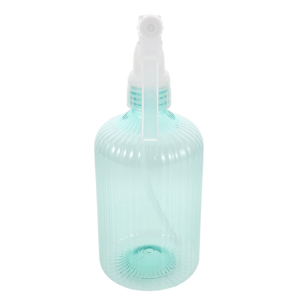 Succulent Watering Bottle Can with Sprayer Bucket Misting for Plants