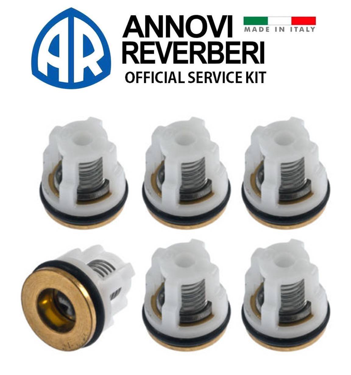 AR CHECK VALVE KIT 42123 for Annovi Reverberi RMW RMV SRMV Pressure Washer Pump