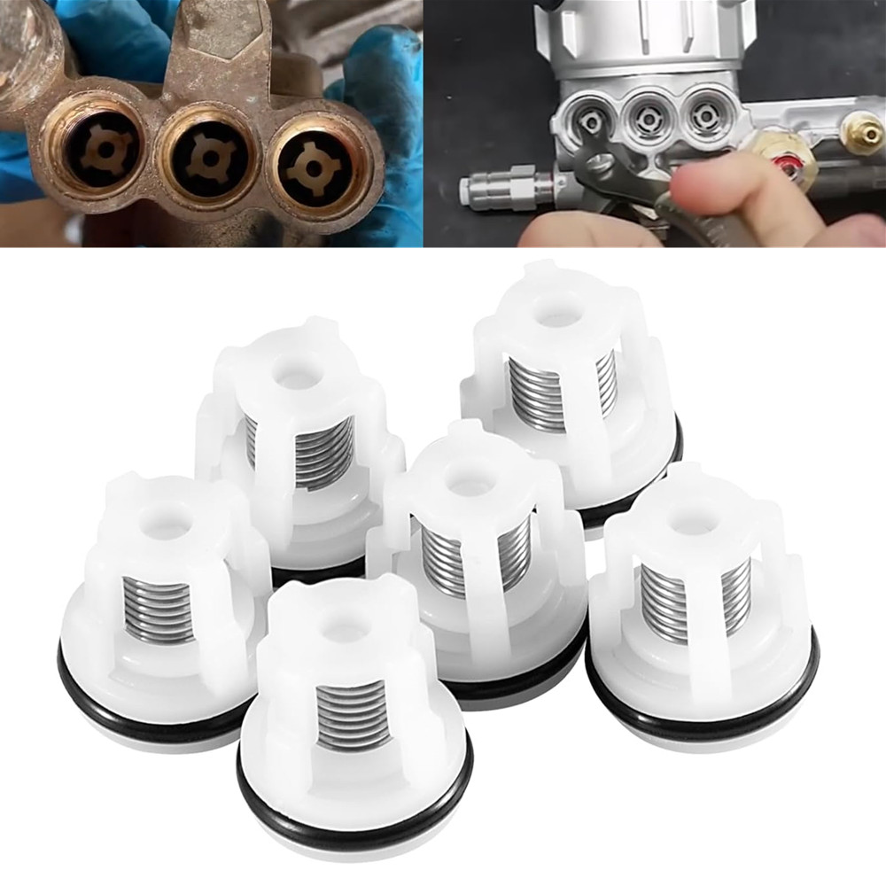 6Pcs AR2233 Check Valve Kit for Annovi Reverberi RMV and RMW pressure pumps