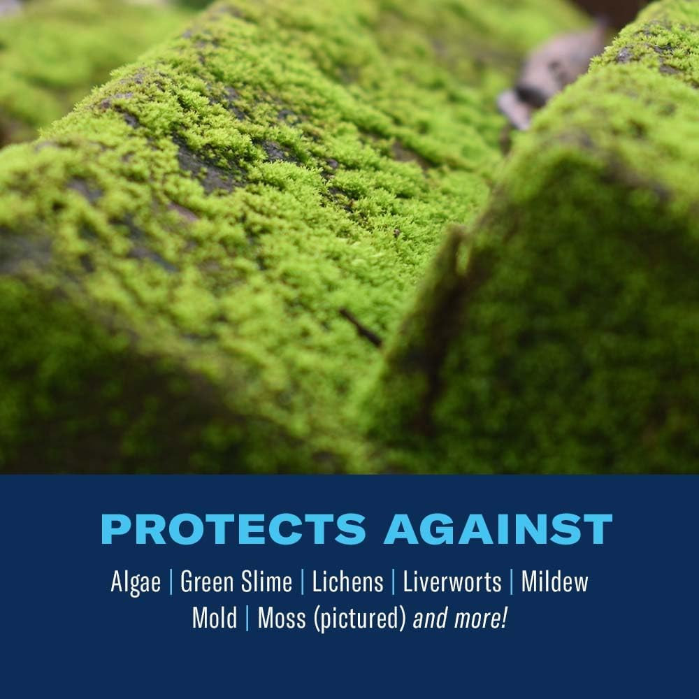 704710B Moss and Algae Killer Ready-To-Spray, 32 oz, (Packaging may