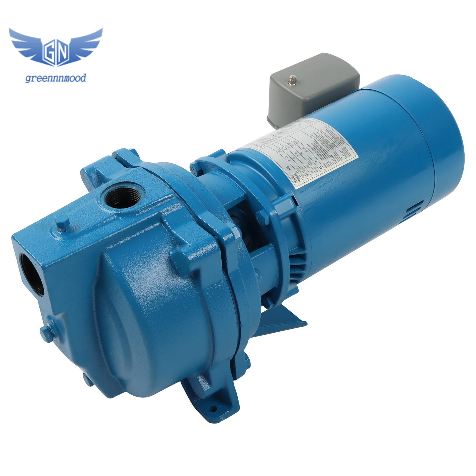 1/2 HP, Dual Voltage (115/230 Volts) J5S Shallow Well Jet Pump Single Phase
