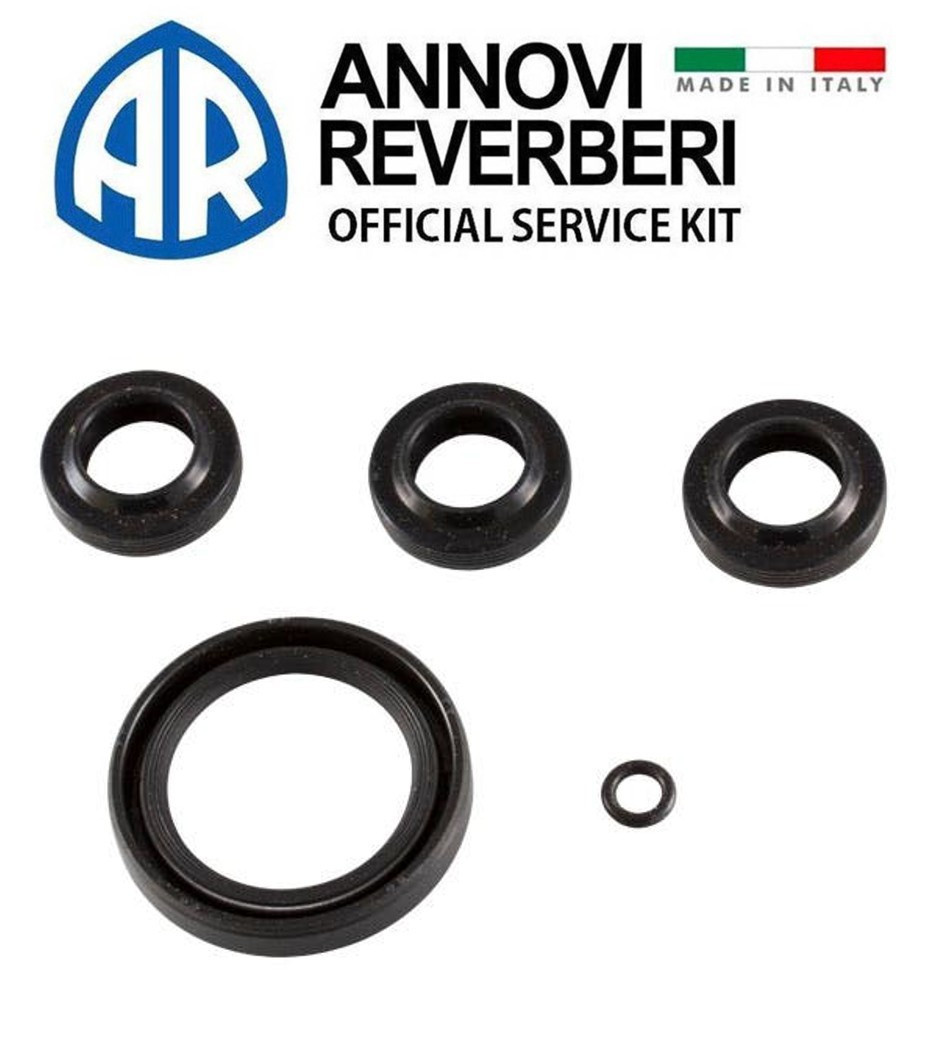 OEM Annovi Reverberi AR2591 OIL SEAL Kit for SJV series pumps