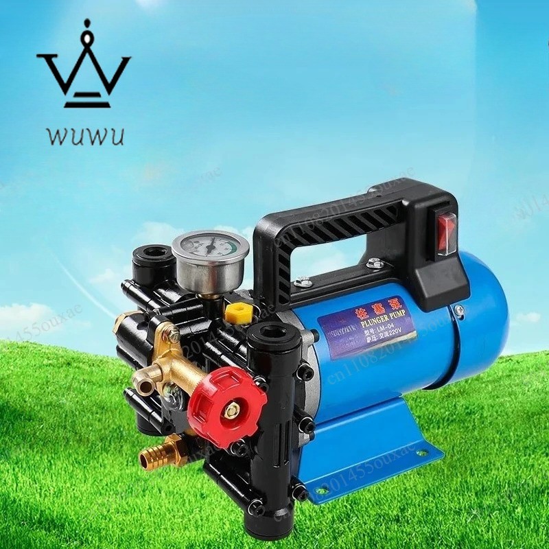 12V/24V/220V Double Cylinder Plunger Pump Agricultural High Pressure Pump