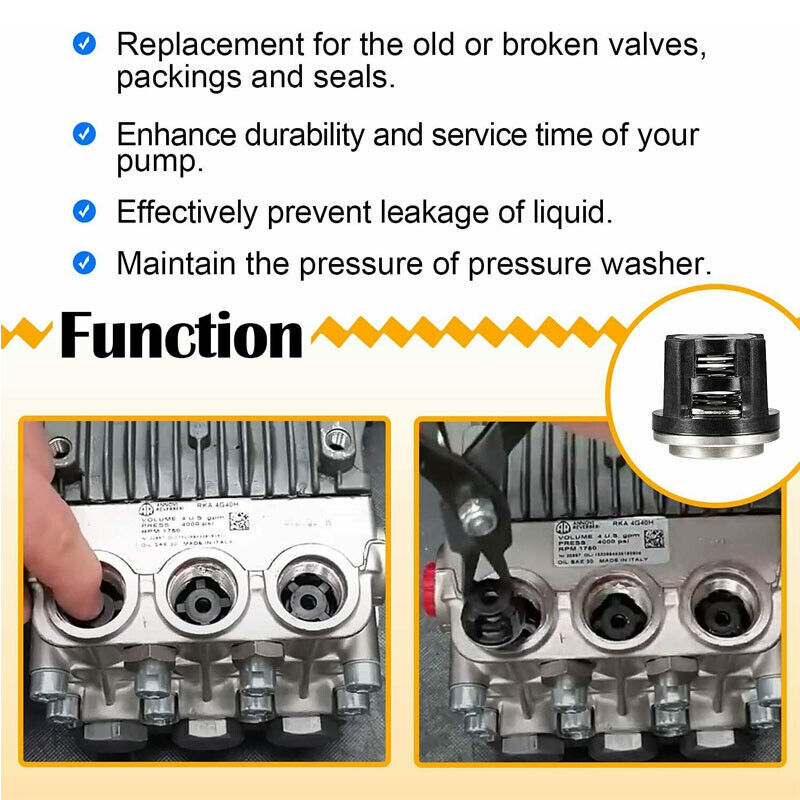 AR1828 Water Pump Check Valves O-Rings Kit for Annovi Reverberi 18mm XR Valves