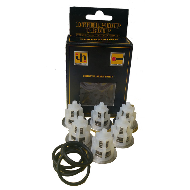 OEM Interpump / GP Kit169 Valve Kit TSF1819, TSF2221, TSF2021, TSF2421, TSF2219