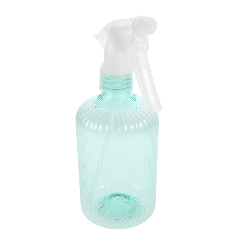 Succulent Watering Bottle Can with Sprayer Bucket Misting for Plants