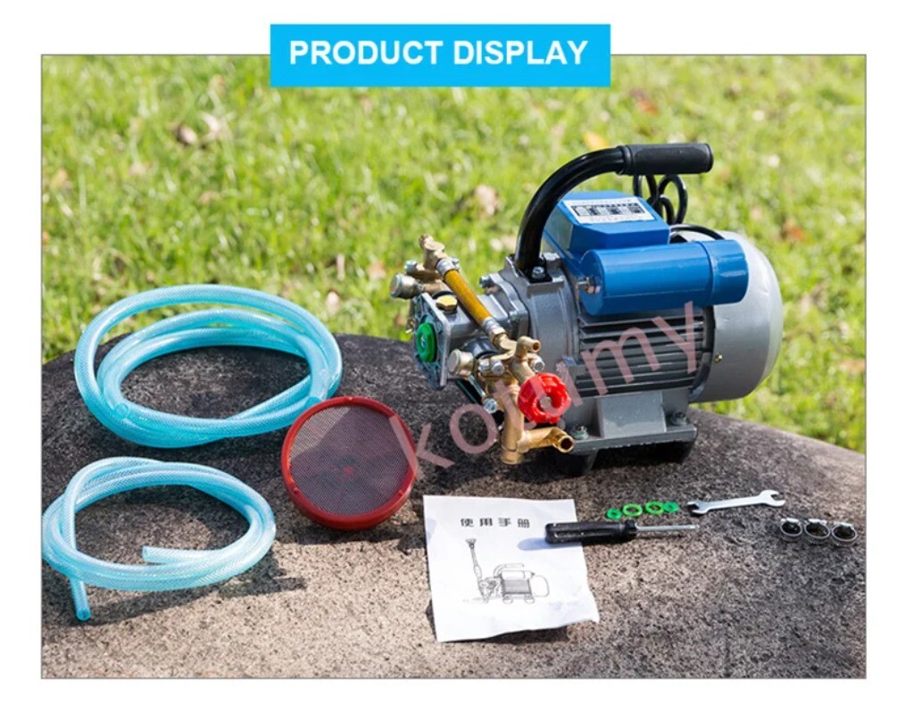 220V Electric Coil Sprayer High Pressure Agricultural Plunger Pump Irrigation
