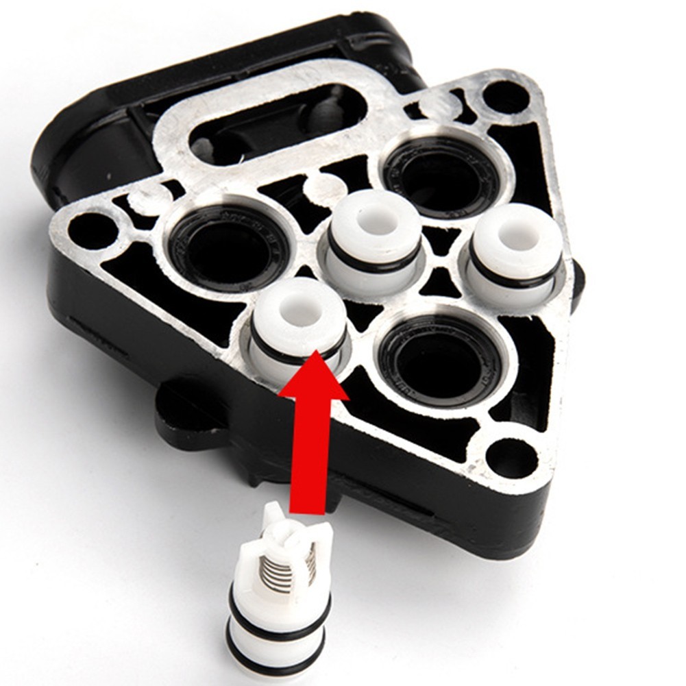 Efficient Pump Head Repair Kit with Seal Oil Check Valves for Cleaning