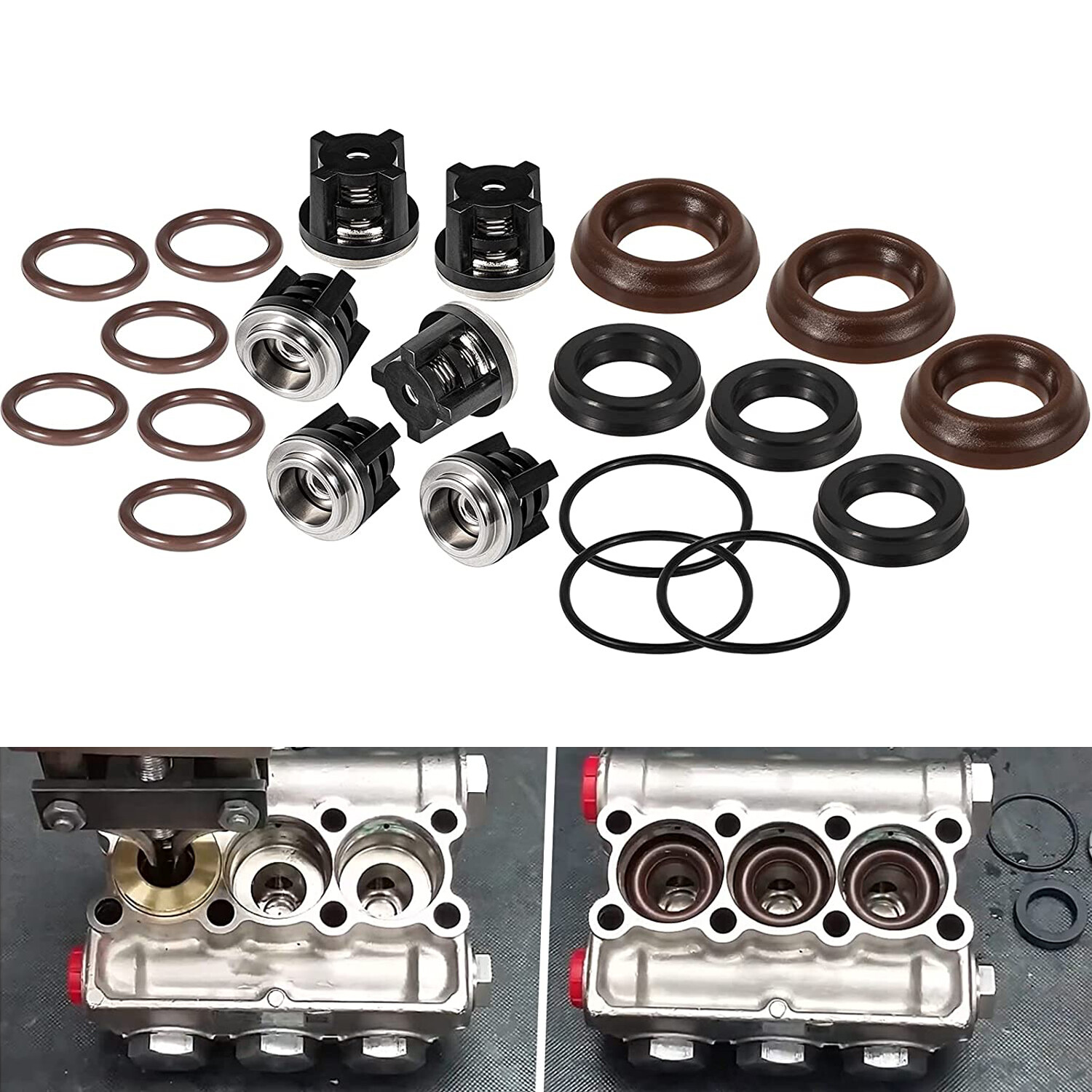 AR1828 Check Valve Kit &AR1857 Pressure Washer Packing Kit for Annovi Reverberi