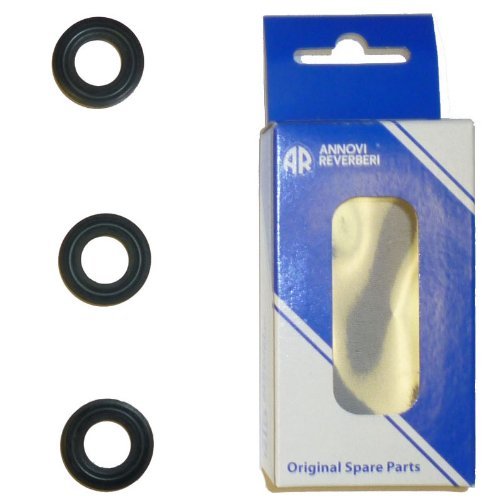 AR RMW2.2G24 Pump Seal Kit RMW2G24 SRMW2.2G26 AR Kit 42122 AR42122, RMV ITALY