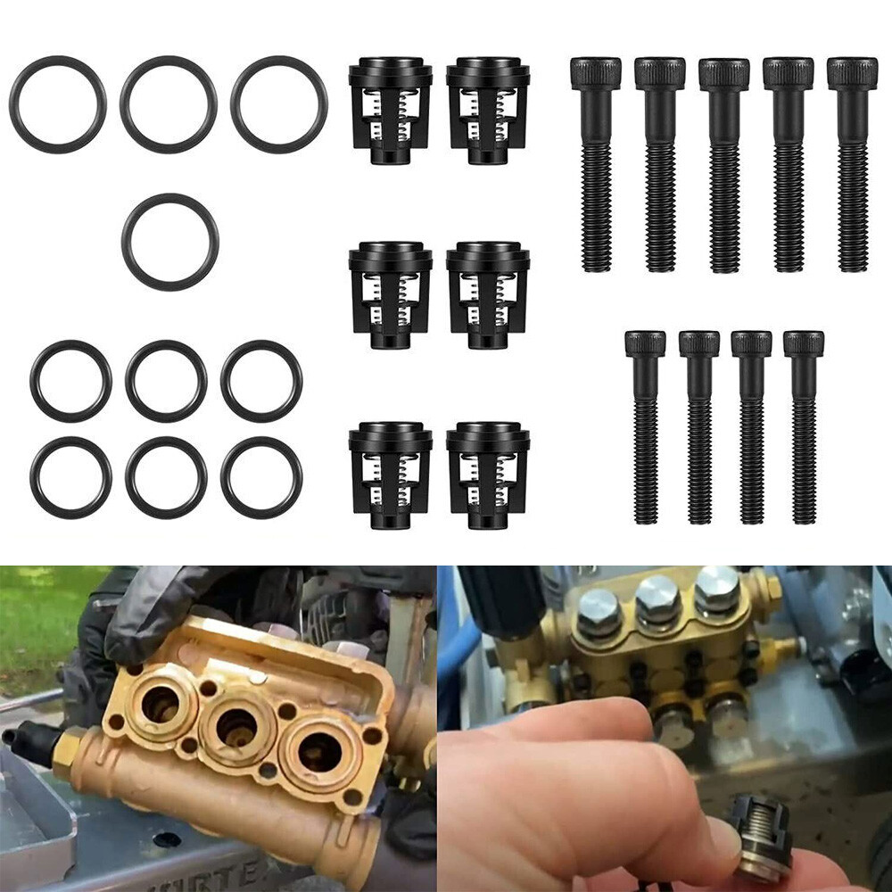 190591GS Pressure Washer Pump Valve Check Kit for Briggs Stratton Snapper 25 pcs