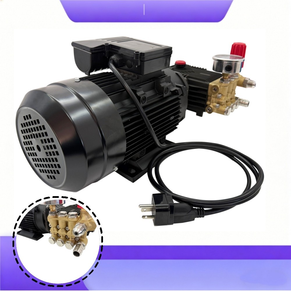220V 2000W High Pressure Car Washer 12L/min Electric Cleaning Pump w/Water Gun