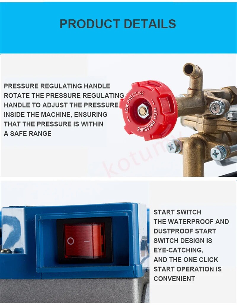220V Electric Coil Sprayer High Pressure Agricultural Plunger Pump Irrigation