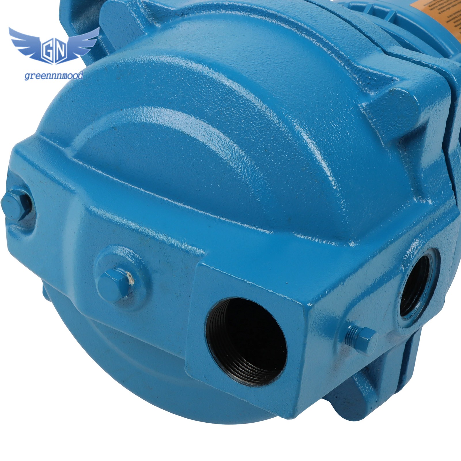 1/2 HP, Dual Voltage (115/230 Volts) J5S Shallow Well Jet Pump Single Phase