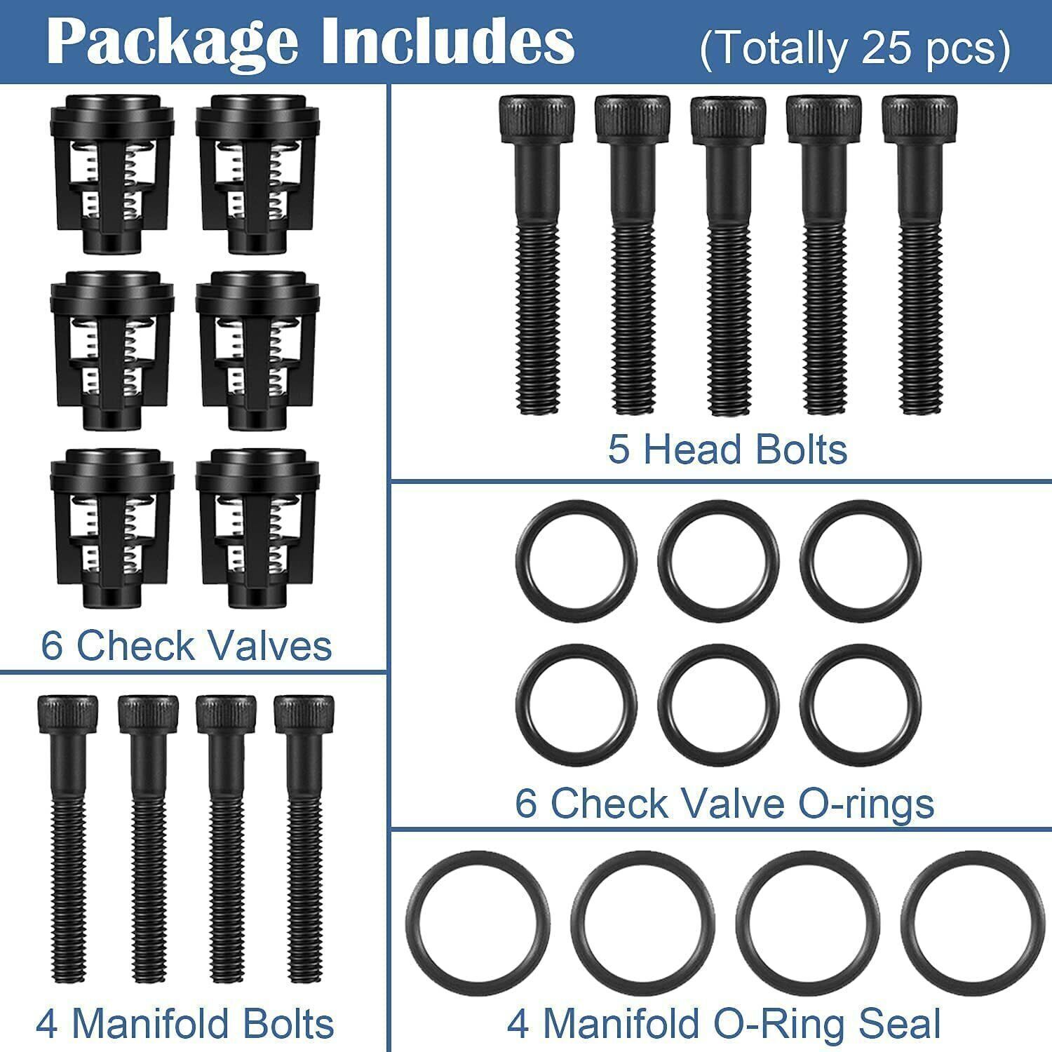 Pressure Washer Pump Valve Check Kit 190591GS for Briggs and Stratton Craftsman