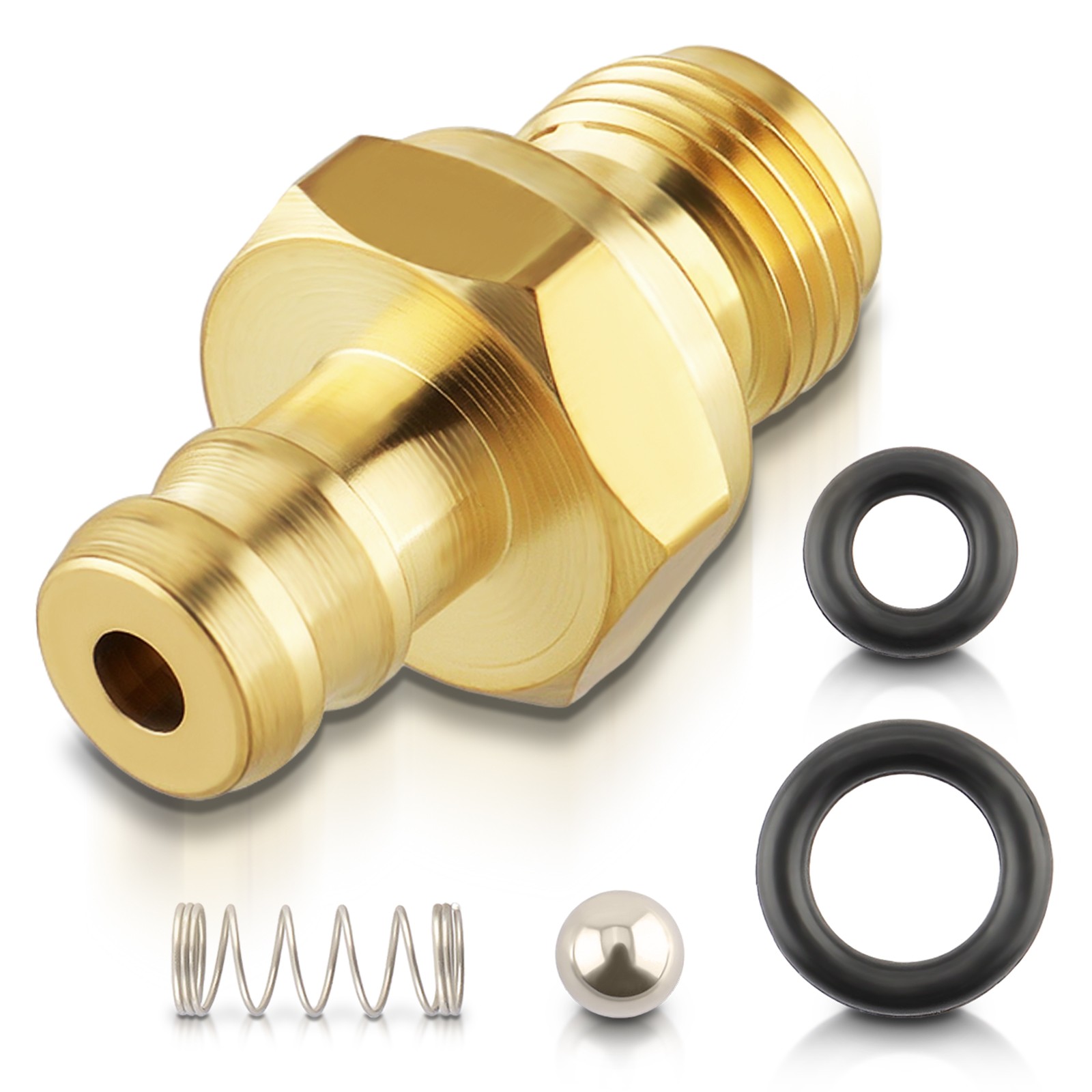 Chemical Soap Injector Pressure Washer Kit for Briggs B&S Ryobi 190593GS