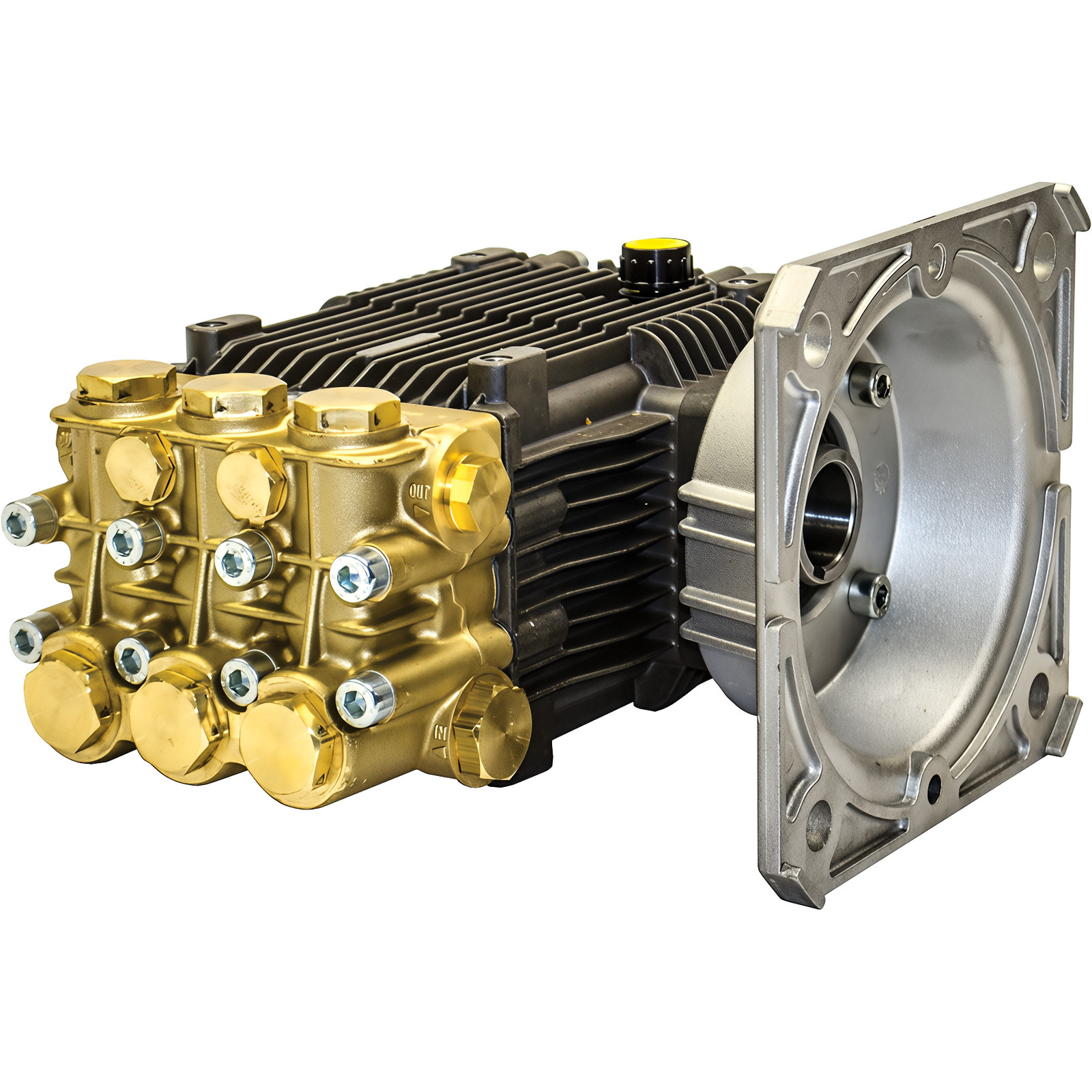 AR Annovi Reverberi RKA4G30E-F17 Triplex Plunger Pump 4 GPM 3000 PSI 1750 RPM