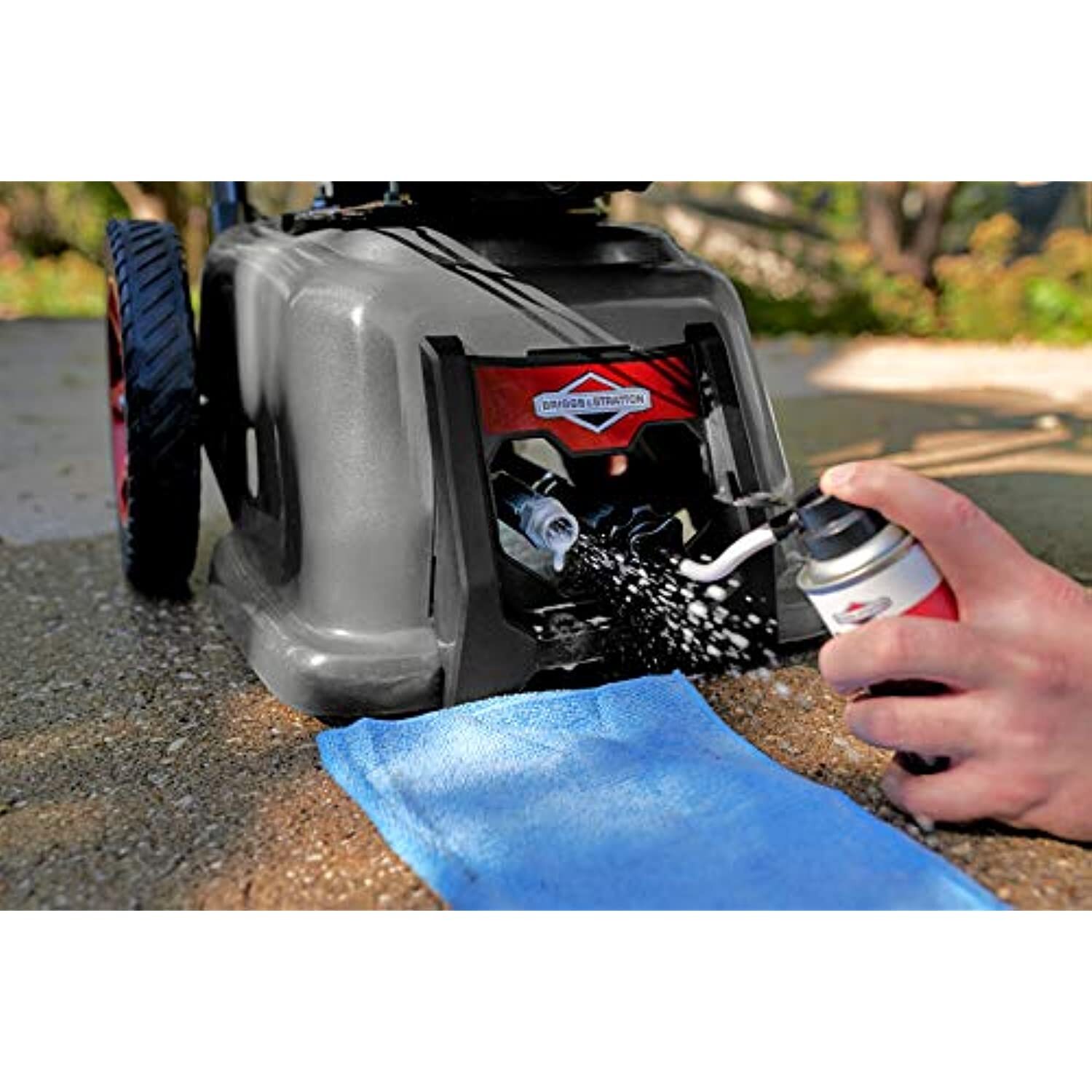 Briggs & Stratton Pressure Washer Pump Saver – 4 Oz. 6039